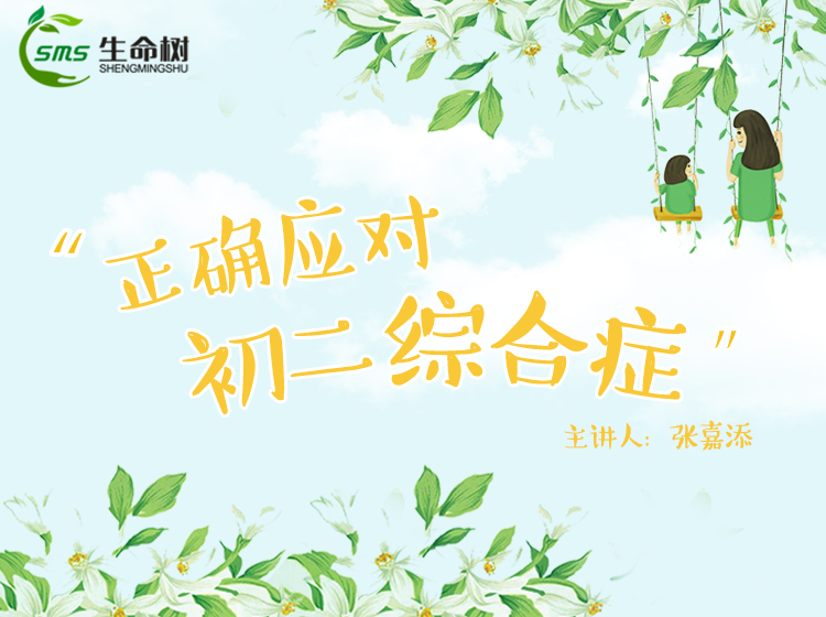 3、正确应对初二综合症