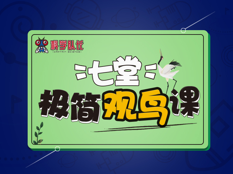 七堂极简观鸟课