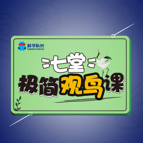 鸟类学家给孩子的七堂极简观鸟课
