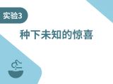  实验三：种下未知的惊喜