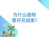 18-为什么植物会开花结果？
