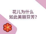 17-花儿为什么如此美丽芬芳？
