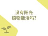 13-没有阳光，植物能活吗？