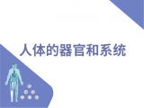 08-人体有多少器官和系统？