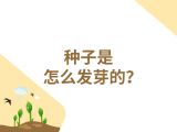 14-种子是怎么发芽的？