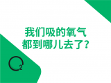 09-我们吸的氧气都到哪儿去了？