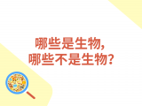 01-哪些是生物，哪些不是生物