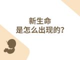 第二十一节：新生命是怎么出现的？