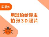 实验四： 用琥珀给昆虫拍张3D照片