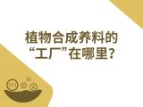 16-植物合成养料的“工厂”在哪里？
