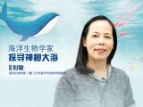 【1】海绵宝宝的好朋友派大星是什么星？