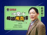 7-林间飘过的彩带：寿带
