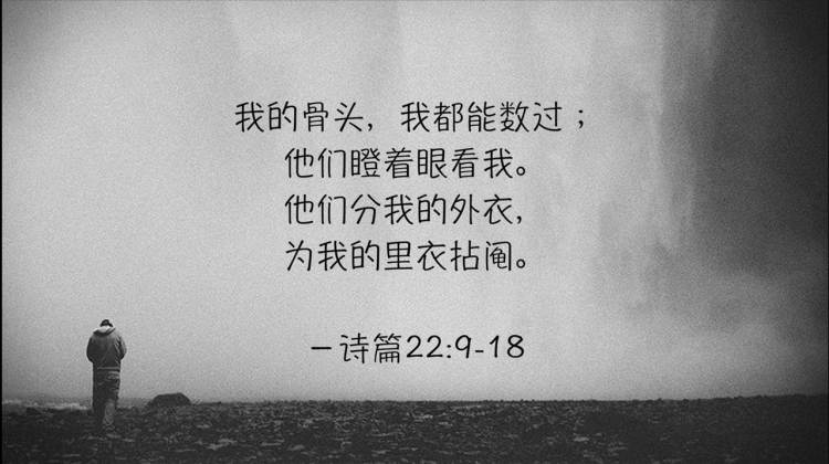 搜狗截图19年01月19日2028_46.png