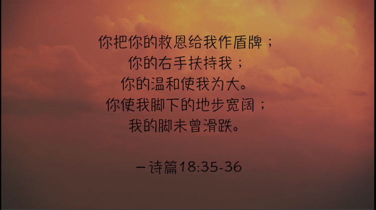 搜狗截图19年01月18日1229_8.png