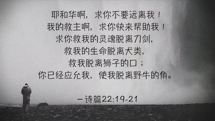 搜狗截图19年01月21日1134_3.png