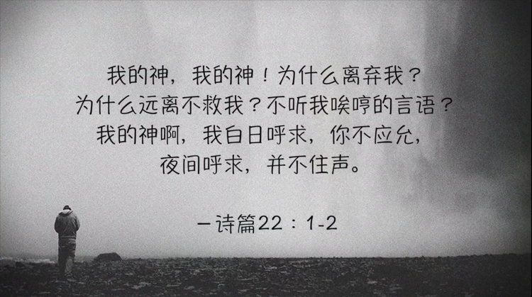 搜狗截图19年01月19日2011_36.png