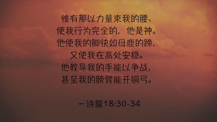 搜狗截图19年01月18日1227_7.png