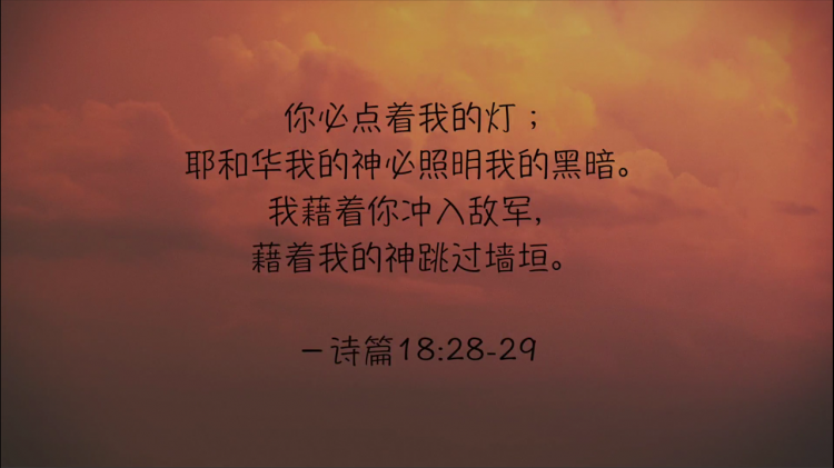 搜狗截图19年01月18日1217_4.png