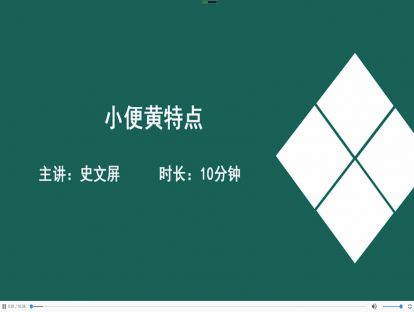 04小便黄特点