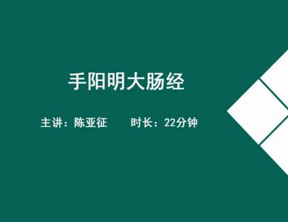 11经络各论-手阳明大肠经.陈亚征