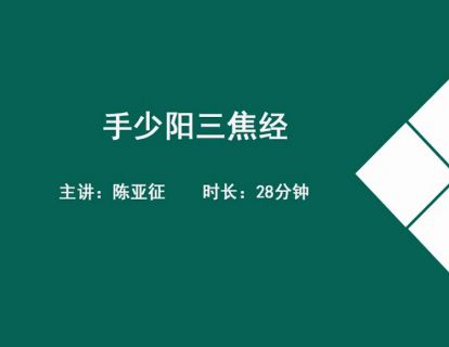 16经络各论-手少阳三焦经.陈亚征