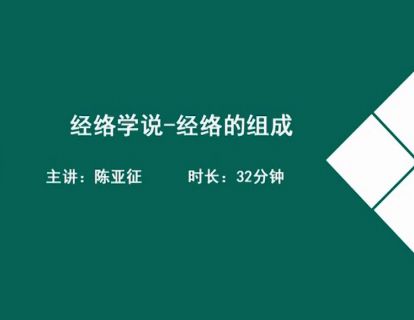 08经络学说-经络的组成.陈亚征
