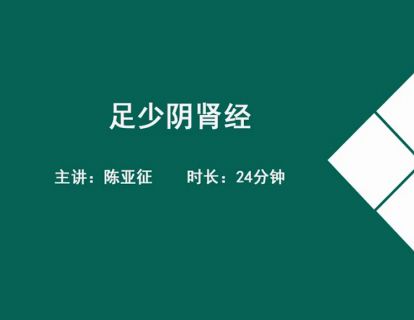 15经络各论-足少阴肾经.陈亚征