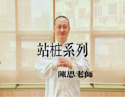 真阳太极 站桩6-站桩跟练【陈思老师】