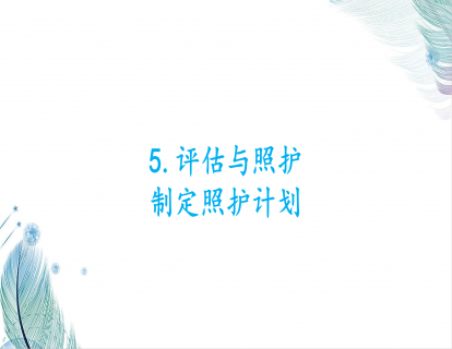 5.评估与照护-制定照护计划