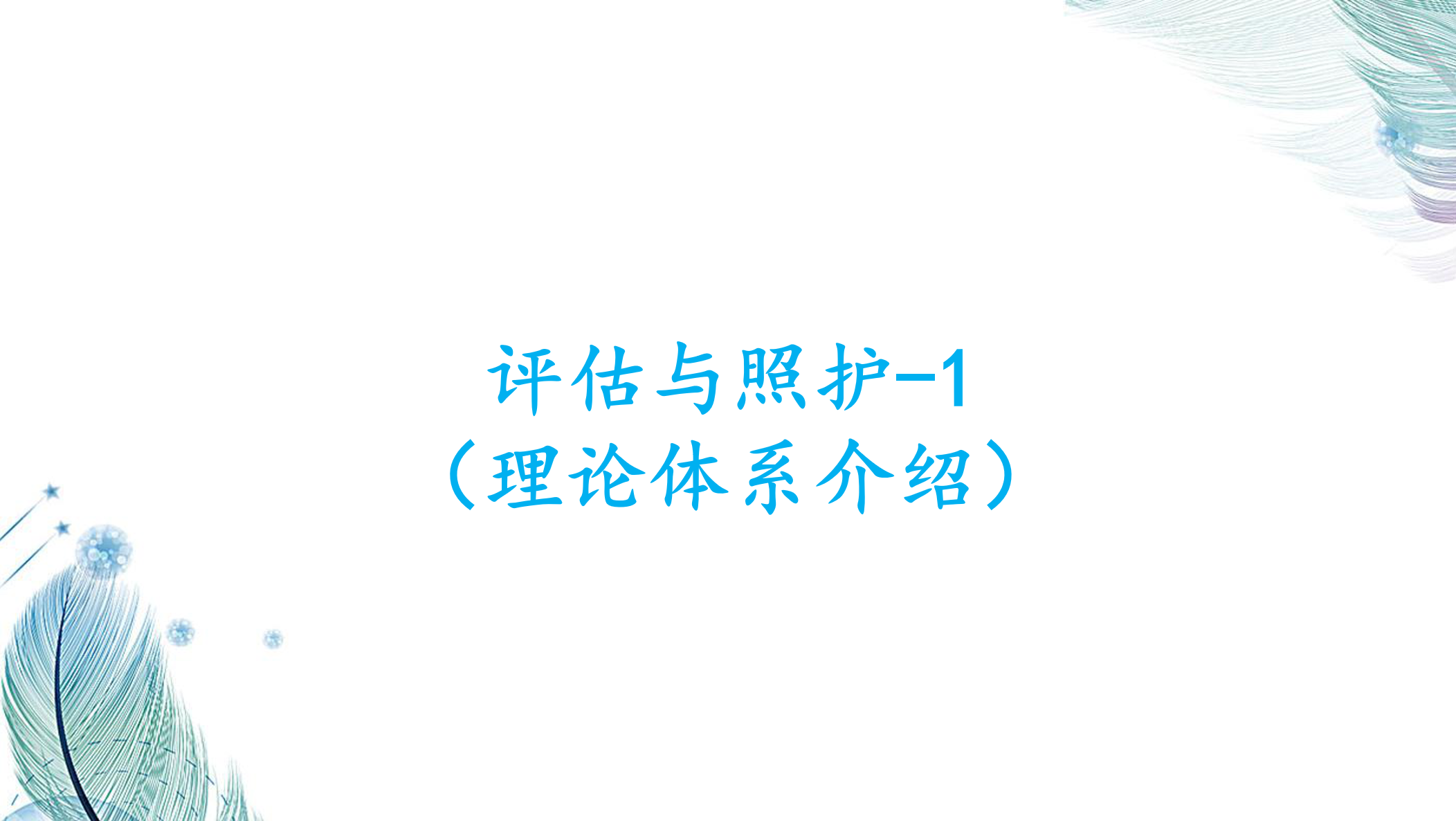评估与照护-1（理论体系介绍）