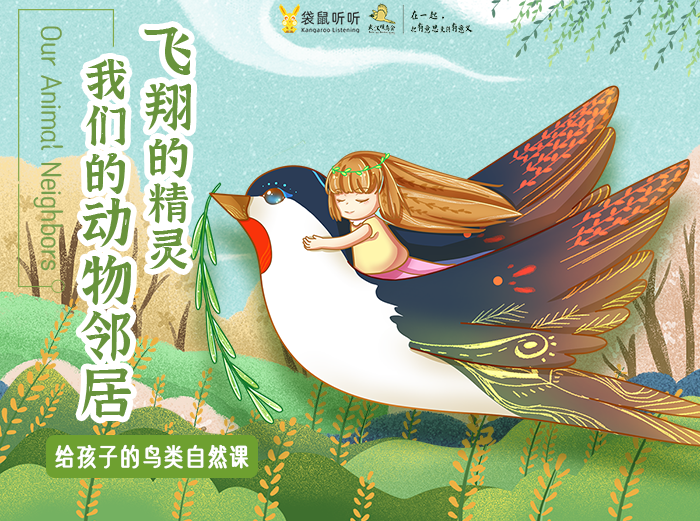 我们的动物邻居·飞翔的精灵