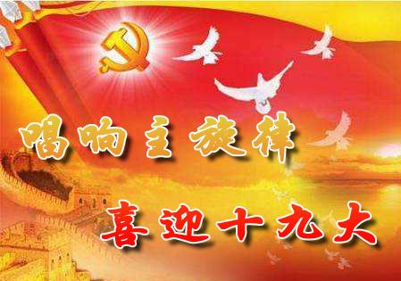 十九大资料