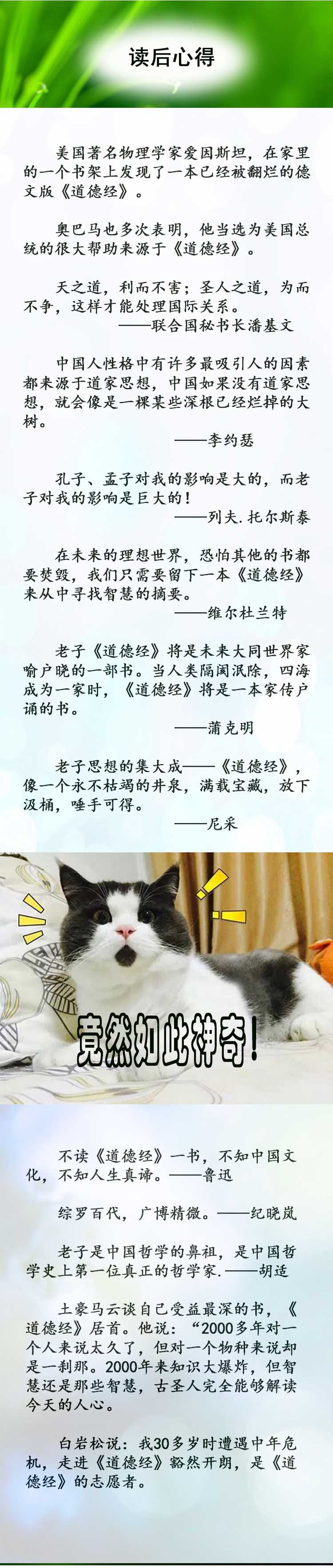 跟随曾仕强轻松读通老子《道德经》
