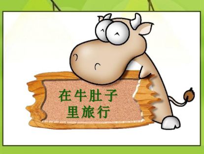 【小班】在牛肚子里旅行