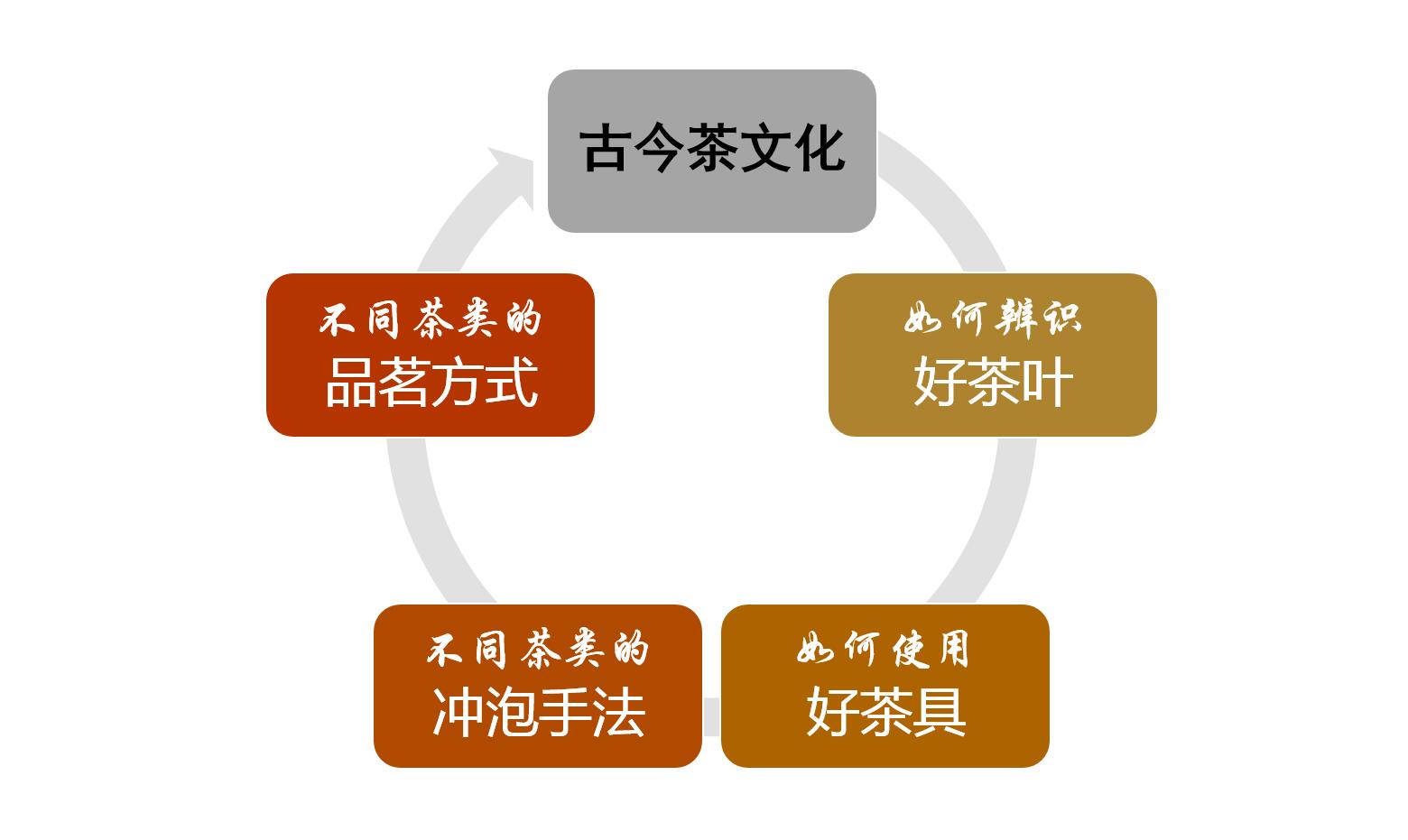 茶艺女神亲传最正宗的中国茶
