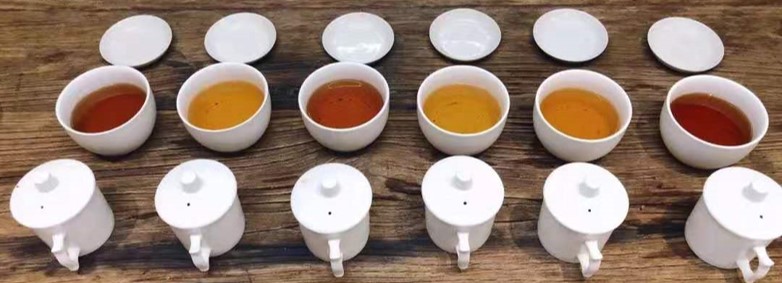 茶艺女神亲传最正宗的中国茶