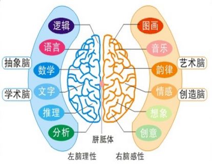 《管理思维路径》：管人与管事的思维差异，左脑理性思维管事看标准，右脑感性思维管人讲认同。