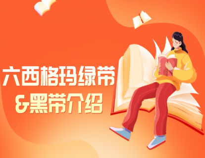 04  6sigma绿带和黑带的介绍