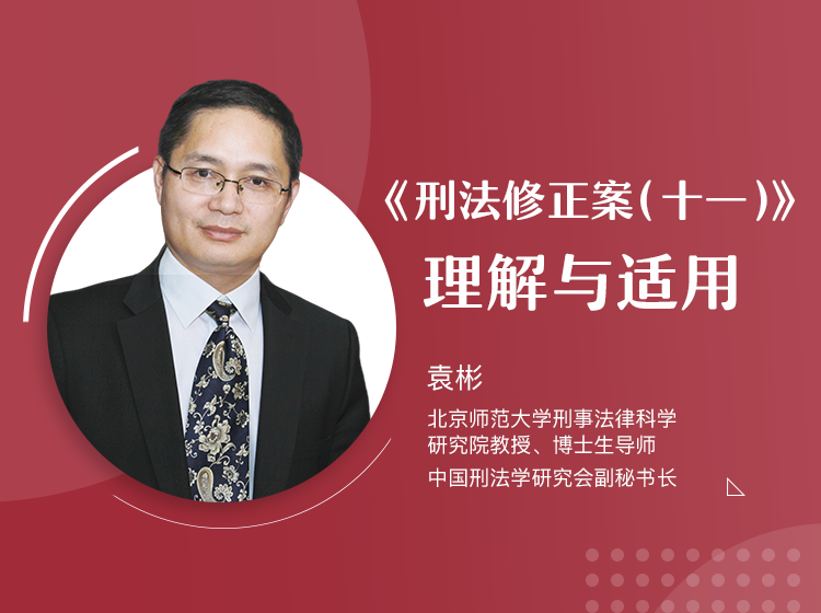 《刑法修正案（十一）》理解与适用