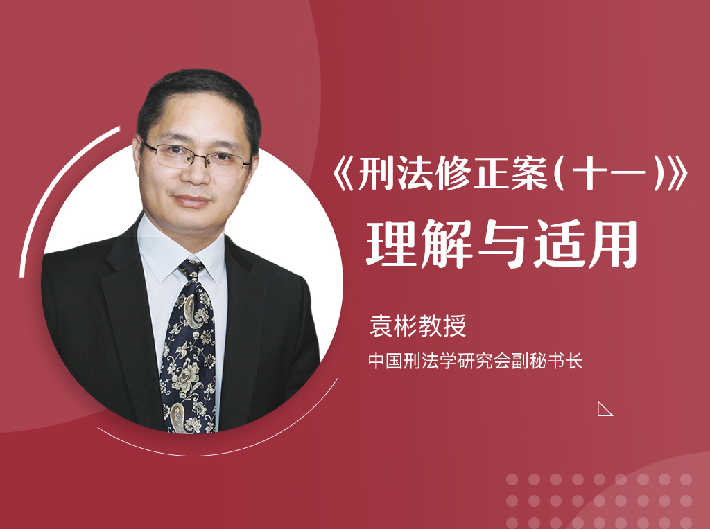 《刑法修正案（十一）》理解与适用