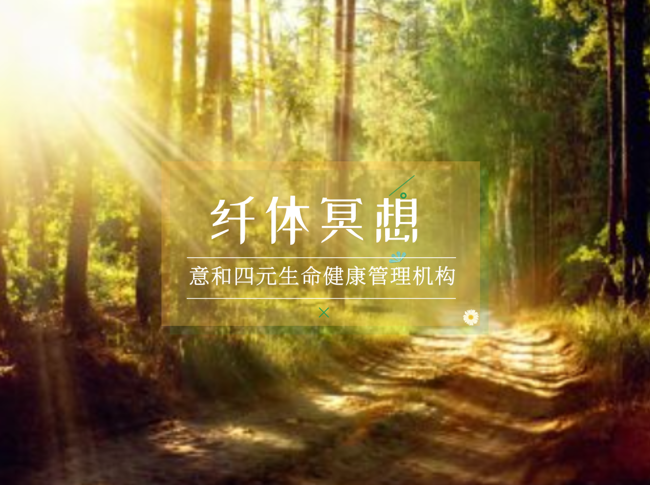 纤体冥想