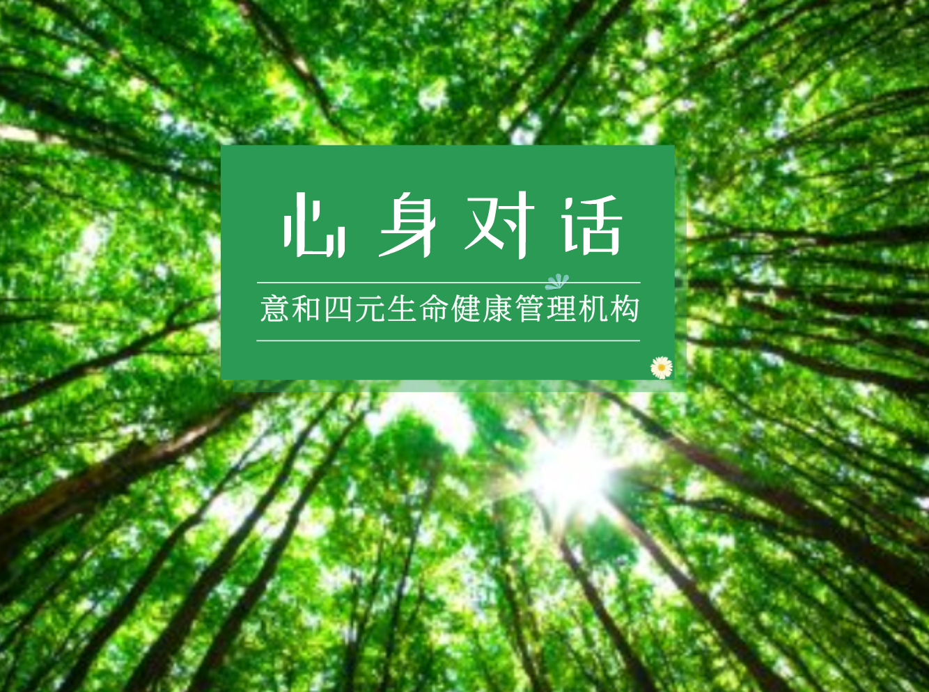 心身对话冥想