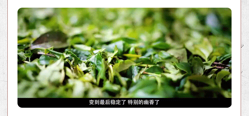 36堂茶道课，玩转高级社交，到哪儿都受欢迎—茶文化专家教你辨茶/选茶/泡茶/品茶