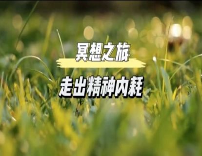 初级冥想｜走出精神内耗