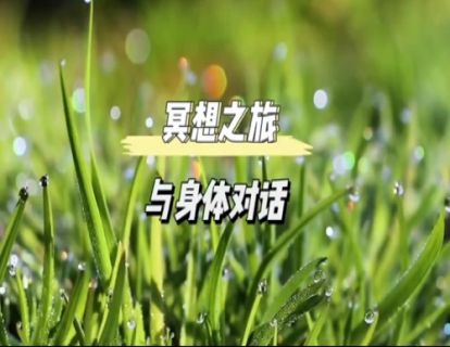 初级冥想｜与身体对话