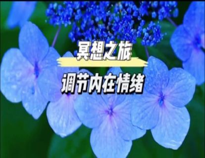 初级冥想｜调节内在情绪