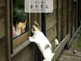 孩子的心理需求：被接纳和“我最重要”