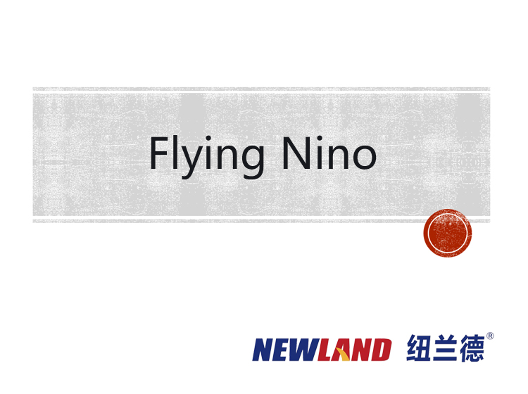 Flying Nino