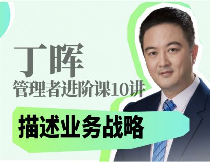描述业务战略