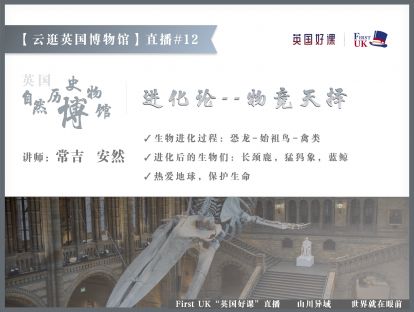 【云逛英国博物馆】#12：英国自然历史博物馆Ep2--进化论，物竞天择